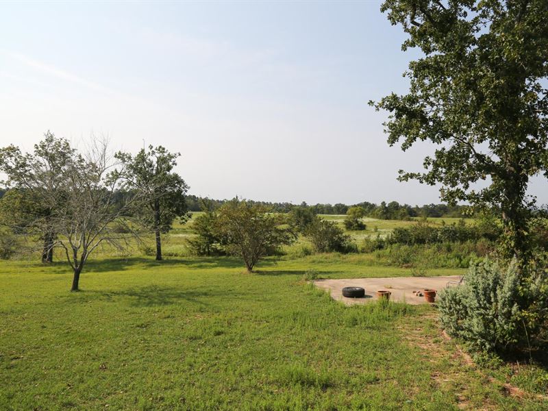 116 Ac Walker Loop Ranch : Huntsville : Walker County : Texas