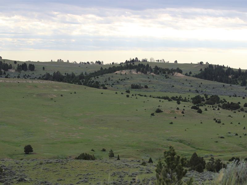 Upper Otter and Morgan Ranches : Otter : Powder River County : Montana