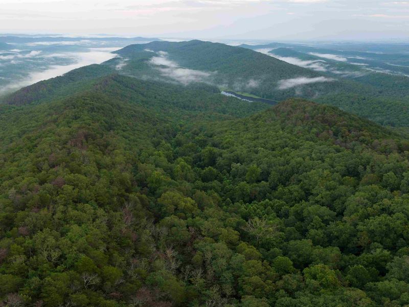 Residential Development Opportunity : Chelsea : Shelby County : Alabama
