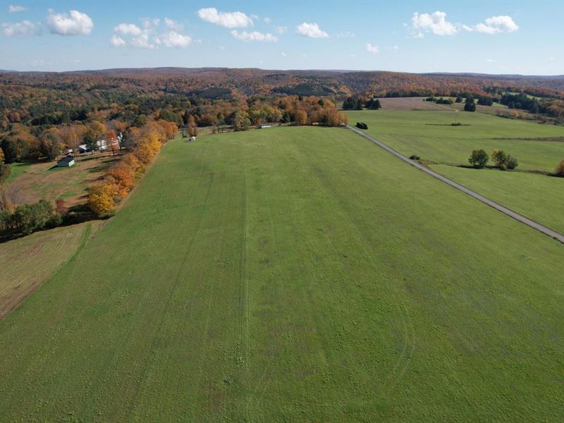 Potter County 22.18 Acres Club Hill : Galeton : Potter County : Pennsylvania