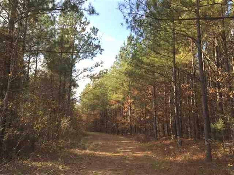 Brookson Farms, Tract B, 2950 Acres : Macon : Noxubee County : Mississippi