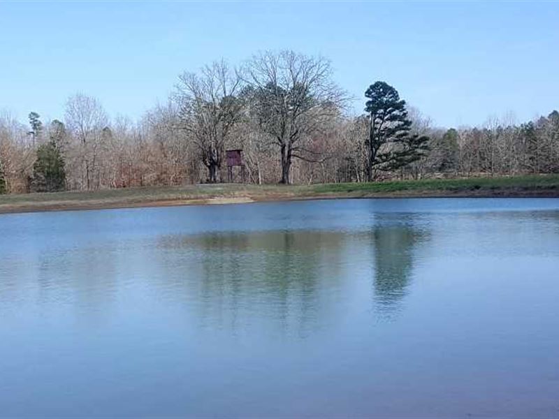 125 Acre Farm 1 Lake, Tons Of Ro : Selmer : McNairy County : Tennessee