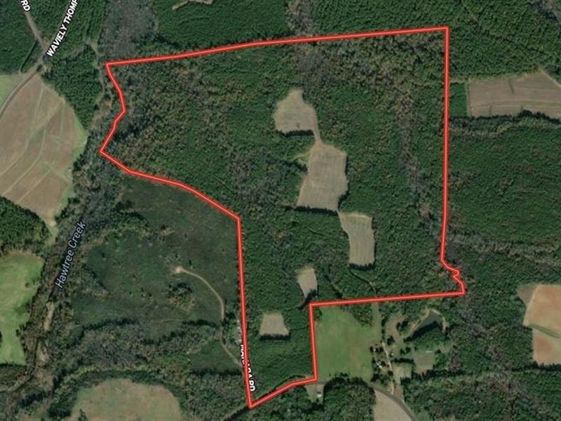 187 Acre Farm : Macon : Warren County : North Carolina