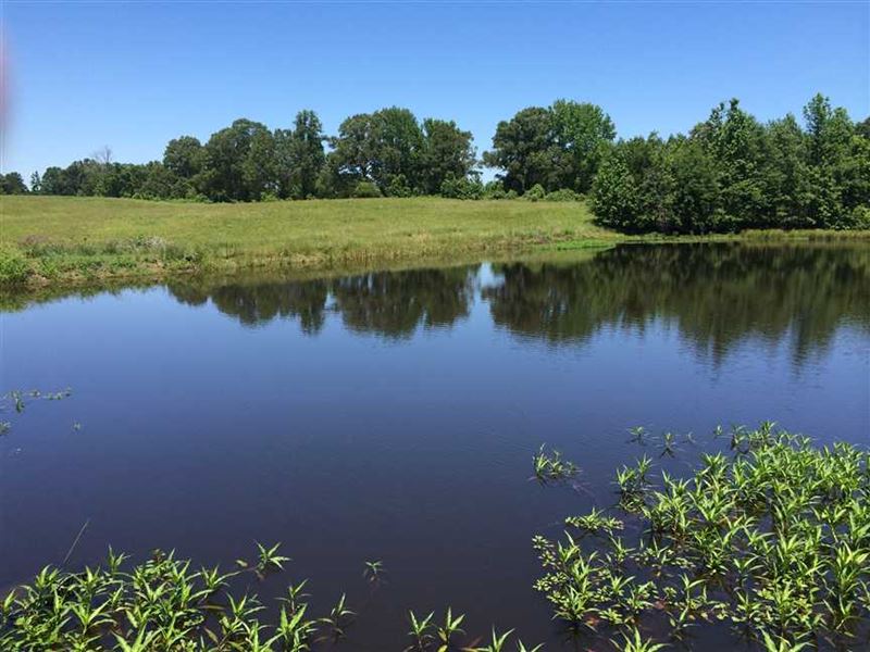 Hunting Land with House in Tallaha : Oakland : Tallahatchie County : Mississippi