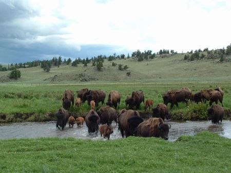 Observatory Rock Ranch : Jefferson : Park County : Colorado