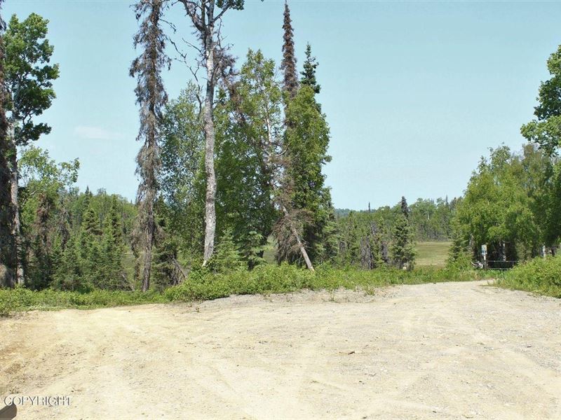 40 Pristine Off-Grid Acres with Dri : Nikiski : Kenai Peninsula Borough : Alaska