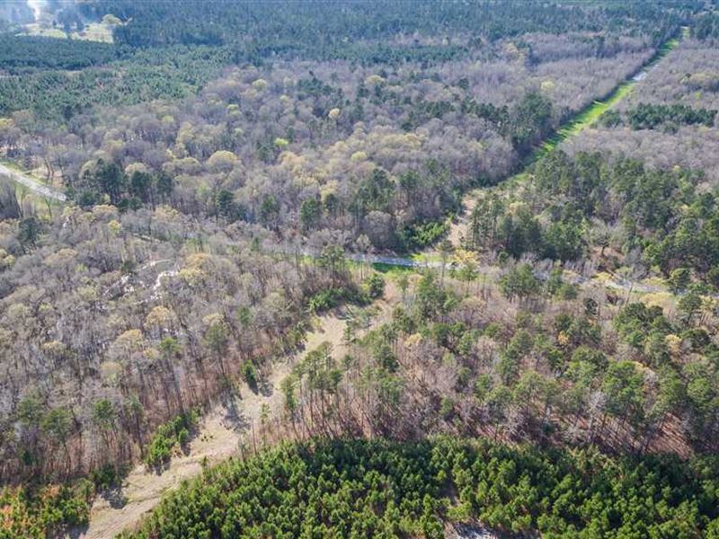 Hall Place, Bossier Parish, 316 Ac : Plain Dealing : Bossier Parish : Louisiana