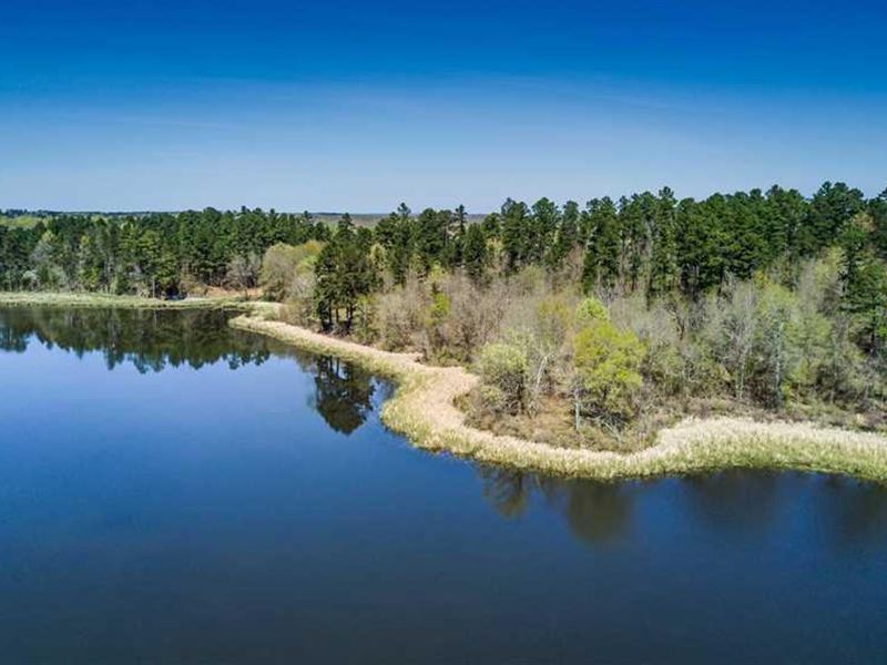 Fish Lake Refuge, Caddo Parish, 486 : Shreveport : Caddo Parish : Louisiana