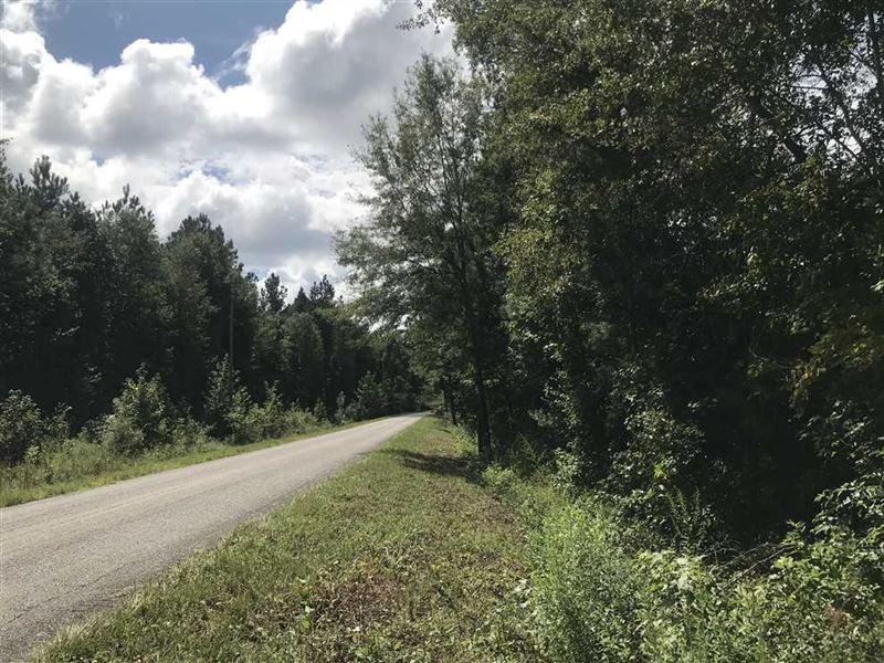 Hunting and Timber Land for Sale : Forkland : Greene County : Alabama