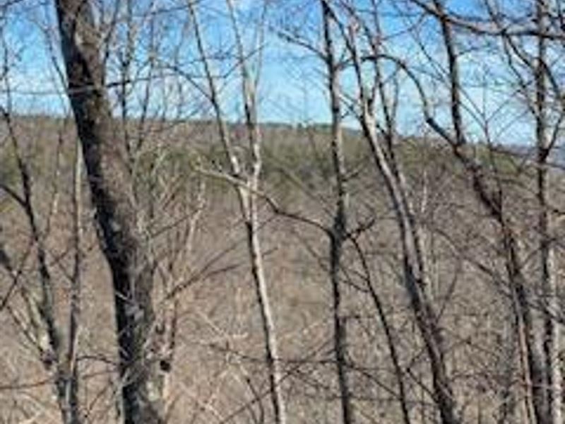 16.08 Acres South Pittsburg Mtn : South Pittsburg : Marion County : Tennessee