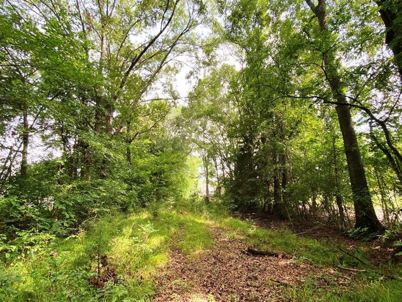 20 Acre Lake and Homesite in Huntsv : Huntsville : Madison County : Alabama