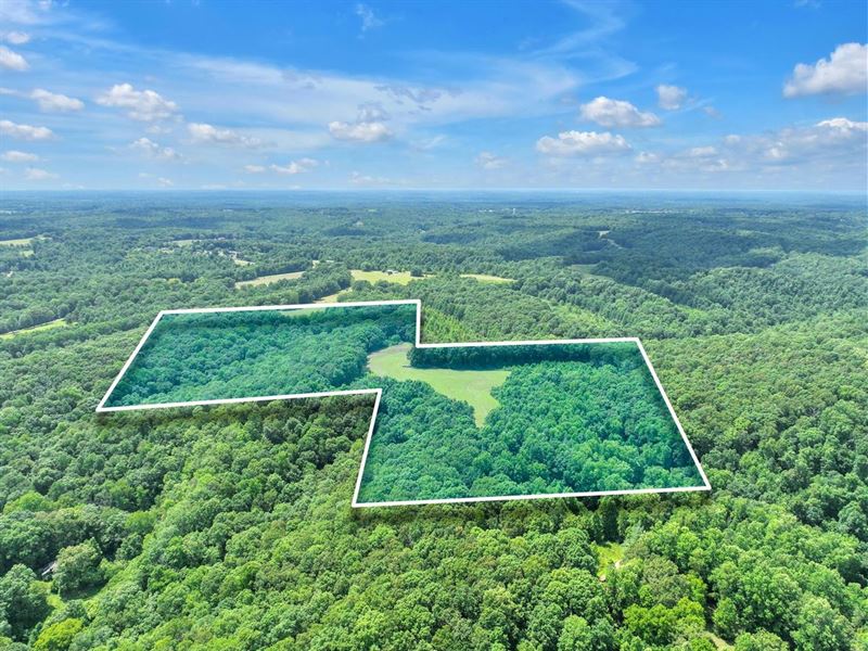 36.5 Acres of Undeveloped Land : Fairview : Williamson County : Tennessee