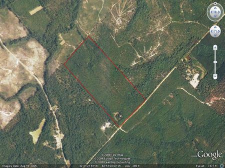 Healthy Timber Investment : Dublin : Laurens County : Georgia
