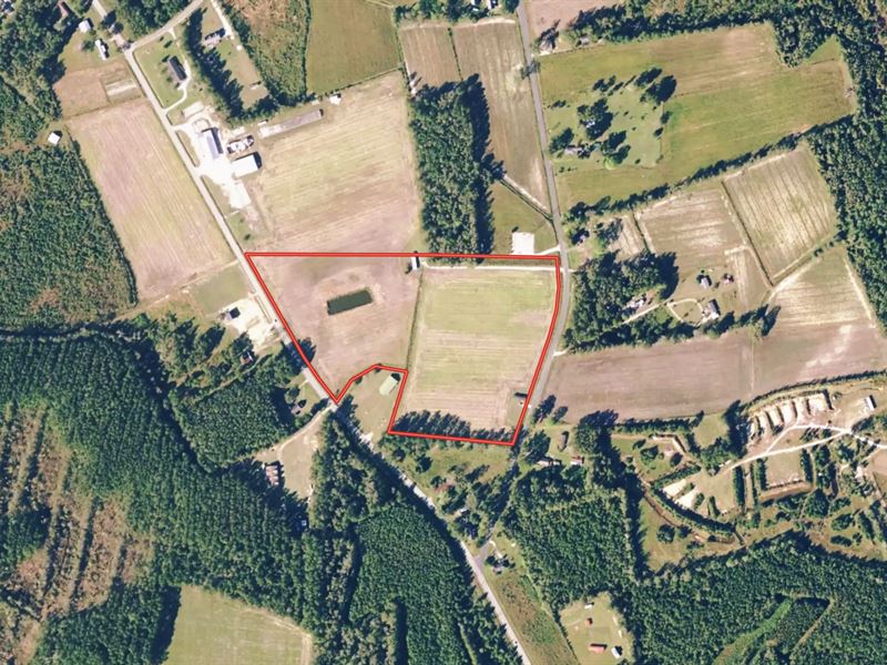 20 Acres of Agricultural Land : Tabor City : Columbus County : North Carolina