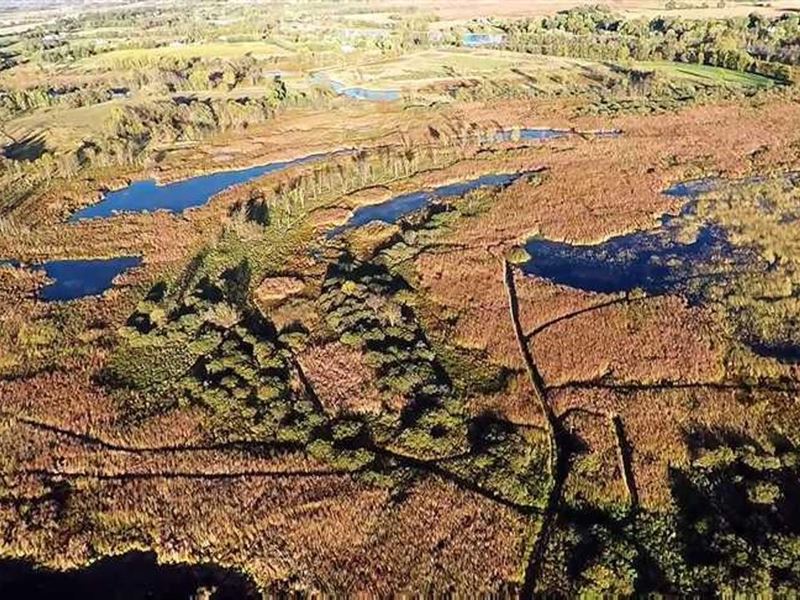 44 Acre Prime Waterfowl Hunting Duc : Berlin : Waushara County : Wisconsin