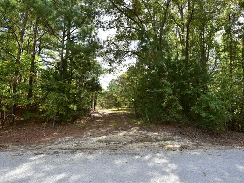 Wooded Estate Site for Sale : Somerville : Fayette County : Tennessee