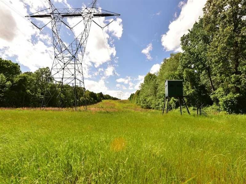 Clear Creek Farms, Ranch for Sale in Mississippi, 132730 RANCHFLIP