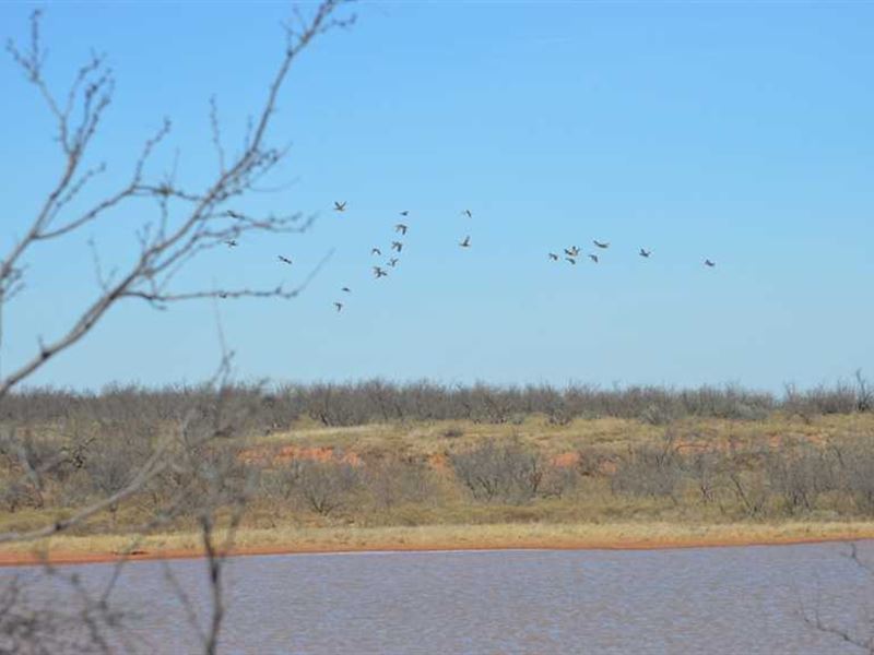 Price Reduction, Hunting Hideaway : Elmer : Jackson County : Oklahoma