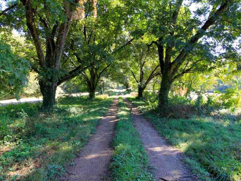 95 Acres on Lake Davidson, Ire : Mooresville : Iredell County : North Carolina