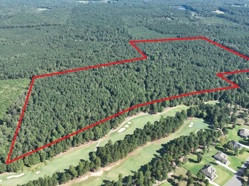 Holmes Creek North Tract, Union Cou : El Dorado : Union County : Arkansas