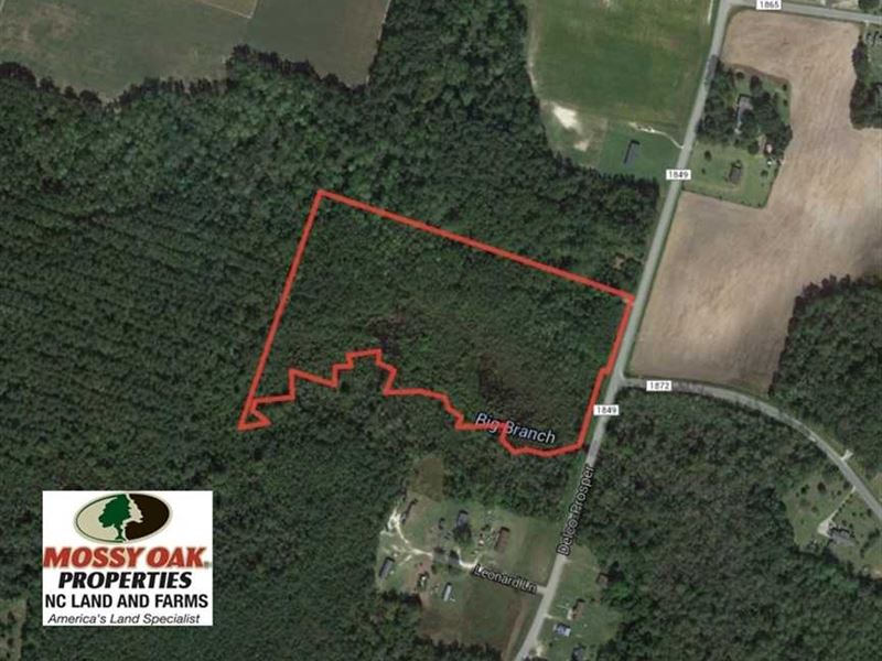 Under Contract, 14 Acres of Hunti : Delco : Columbus County : North Carolina