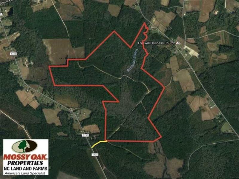 365 Acres of Timber Land for Sale : Lake Waccamaw : Columbus County : North Carolina