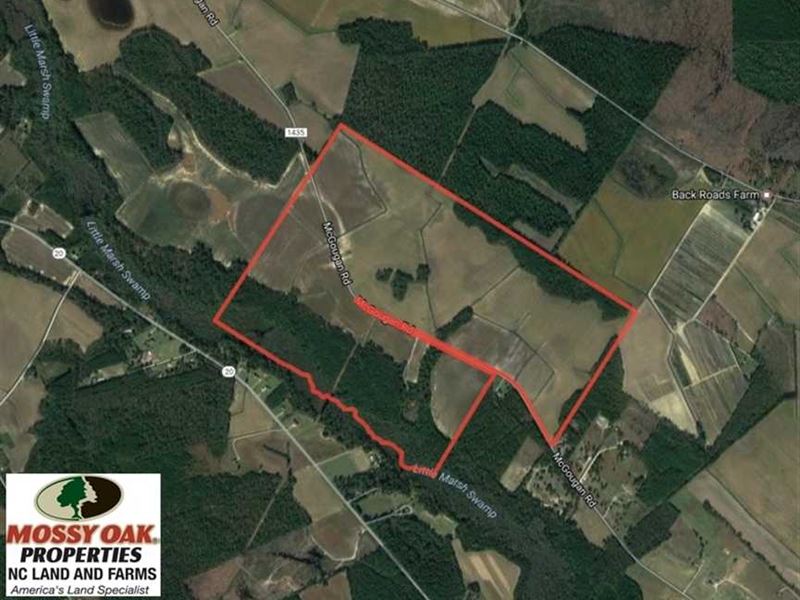 Under Contract, 380 Acres of Farm : Lumber Bridge : Robeson County : North Carolina