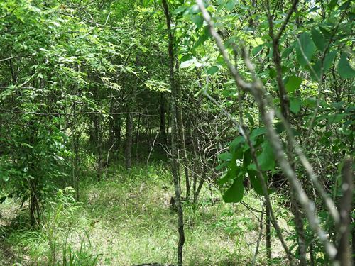 Secluded Building Rolling Hill Ranc : Hugo : Choctaw County : Oklahoma