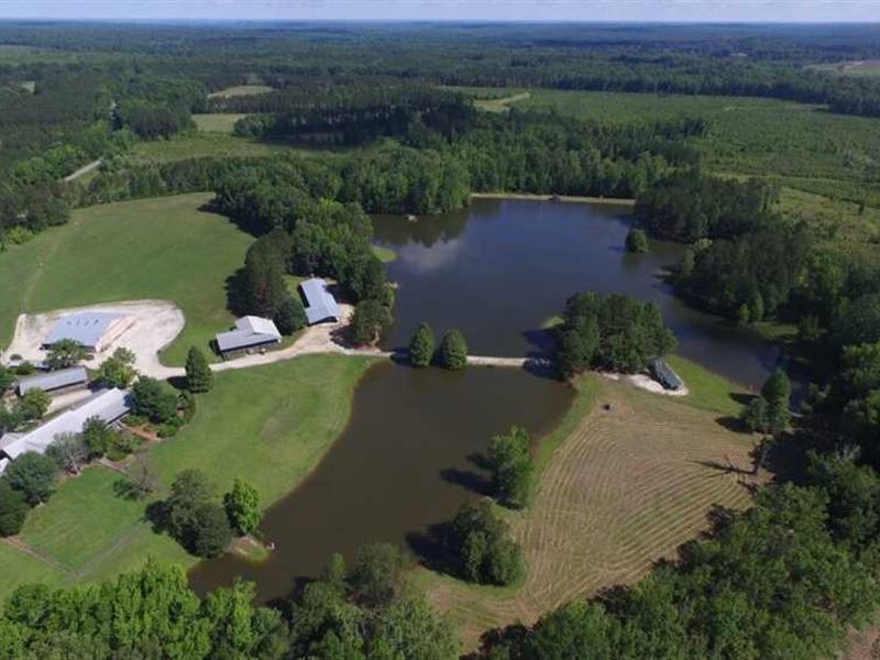 Lodge, Houses, Lakes, 669 Acres, Ranch for Sale in Alabama, 133096