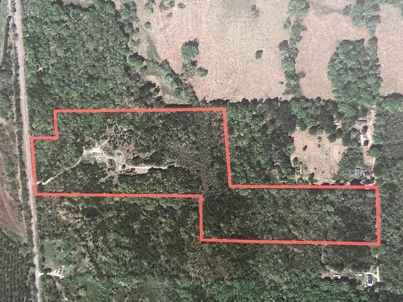 17 Acres Greene County, AL : Boligee : Greene County : Alabama
