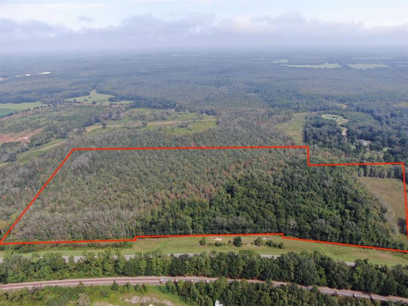 Awesome 51 Acre Hunting Property : Greenville : Madison County : Florida