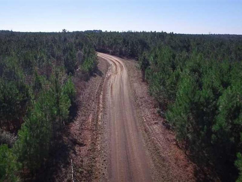 San Augustine County Timberland Inv : San Augustine : San Augustine County : Texas