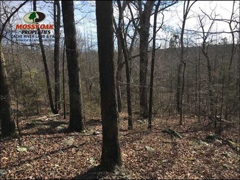 Price Reduced Motivated Seller : Concord : Cleburne County : Arkansas