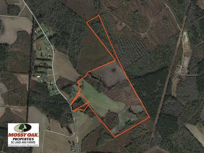 110 Acres of Farm Land for Sale in : Paxville : Clarendon County : South Carolina