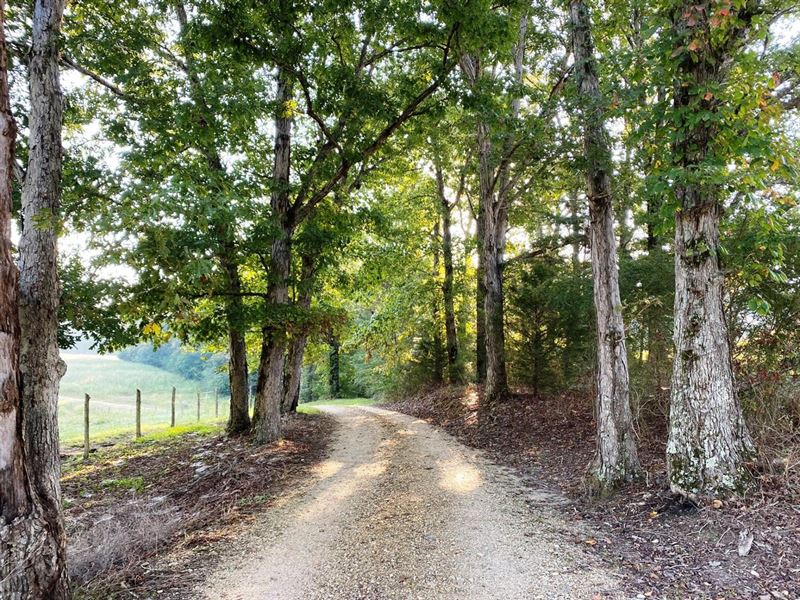 18.5 Acre Cook Creek Mini Farm : Russellville : Colbert County : Alabama