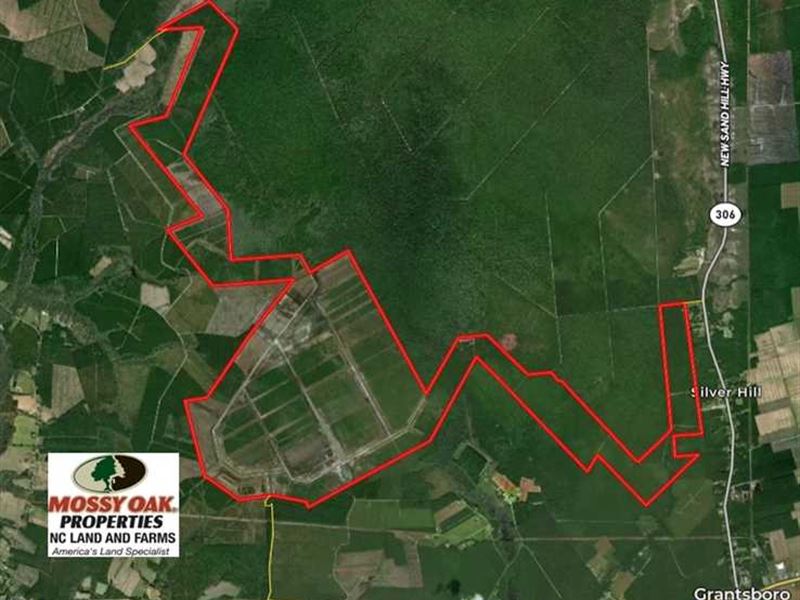 Reduced, 4000 Acres of Timber Lan : Grantsboro : Pamlico County : North Carolina