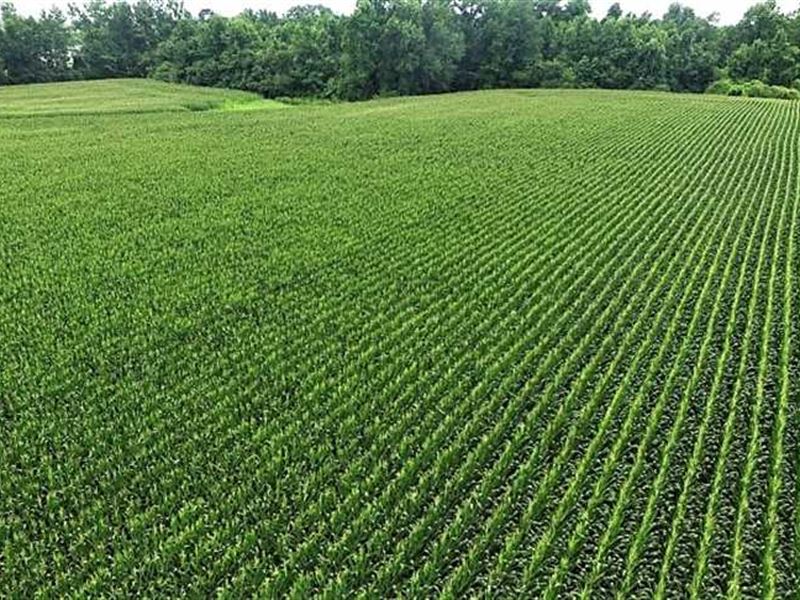 17.1 Acres of Fa : Ayden : Pitt County : North Carolina