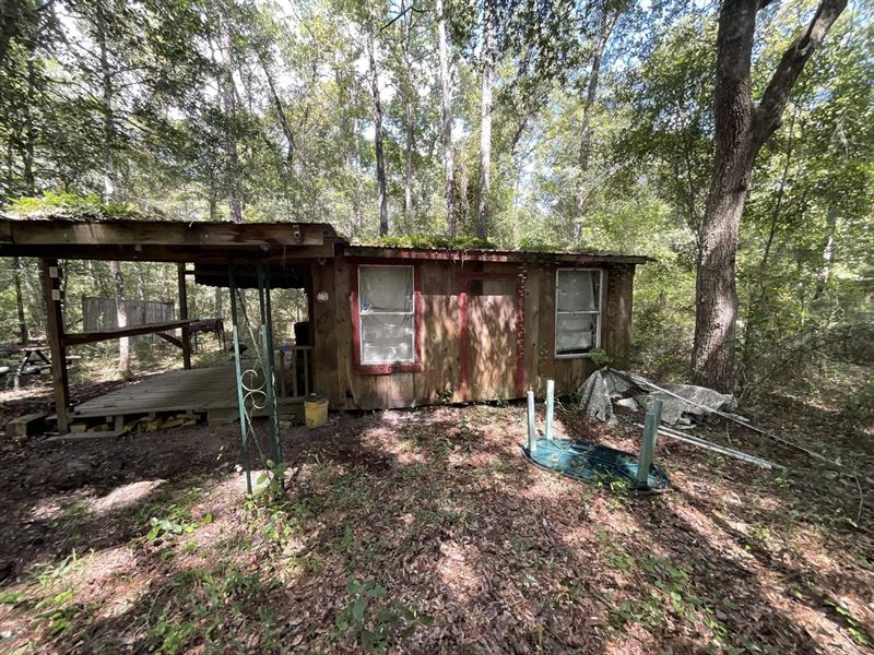 Camping Lot with Old Cabin Near Suw : Jasper : Hamilton County : Florida
