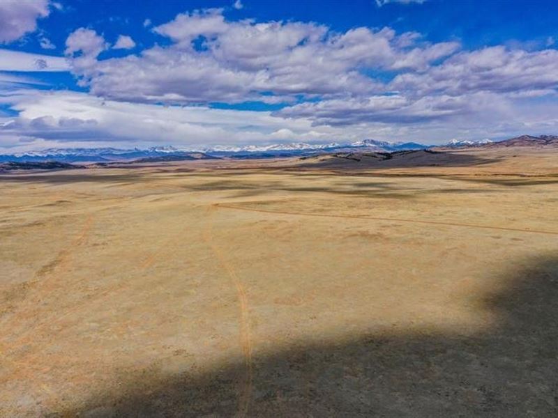 Chaparral Meadows Ranch 102 : Hartsel : Park County : Colorado