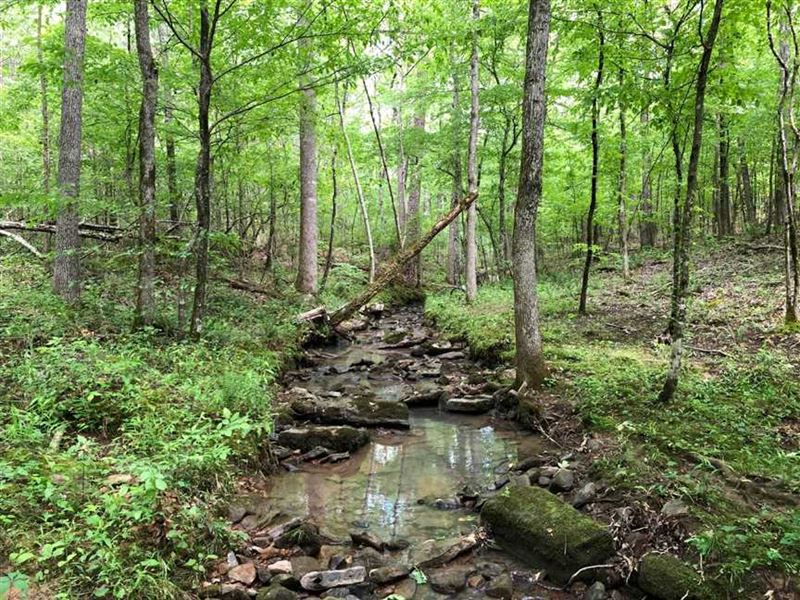 Just Reduced, 420 Acres of Timberl : Tuscumbia : Colbert County : Alabama