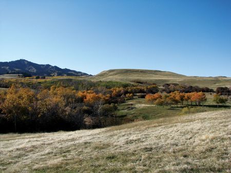 Banner Equestrian Ranch : Banner : Sheridan County : Wyoming
