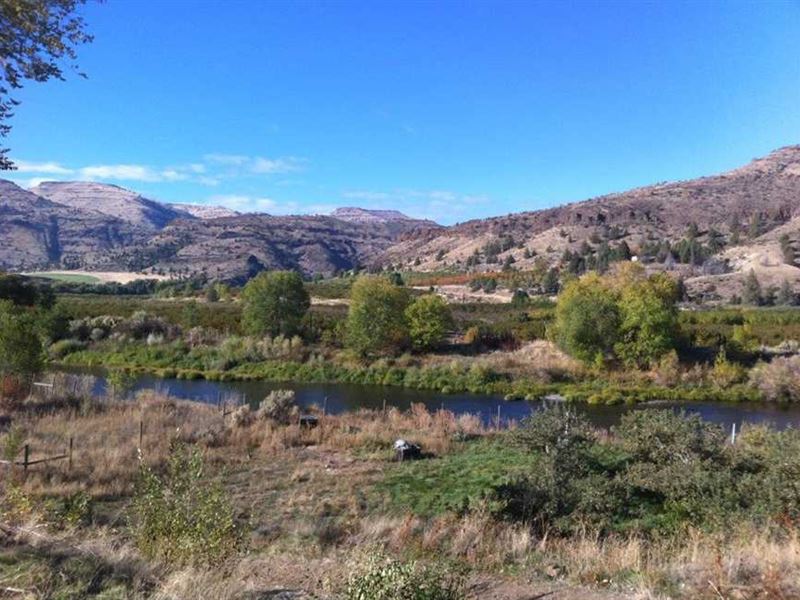 11 Acres on River with Orchard in : Kimberly : Grant County : Oregon