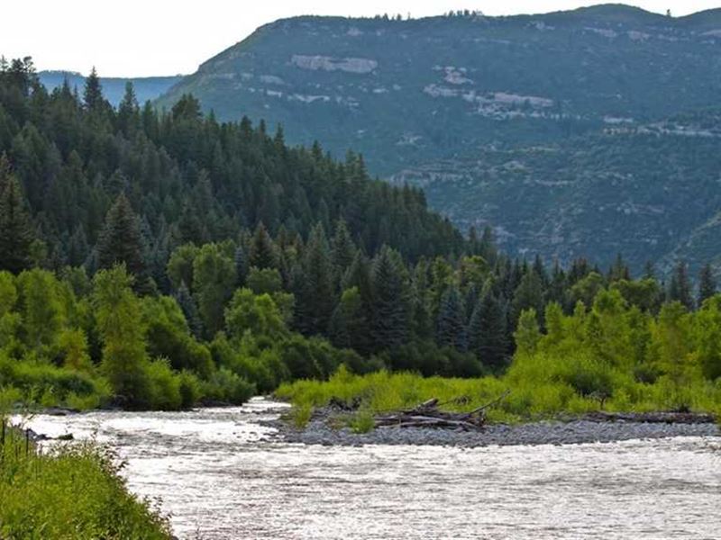 Snowshoe Ranch-Premier Fly Fishin : Somerset : Gunnison County : Colorado