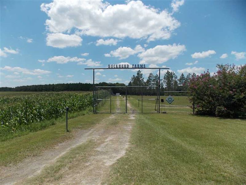 King - Buckhead Farm : Jennings : Hamilton County : Florida