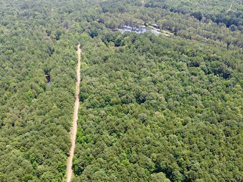 Bowie County, 468 Acres : Texarkana : Bowie County : Texas