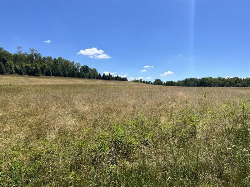 226 Acres Skyline Drive : Saltsburg : Indiana County : Pennsylvania