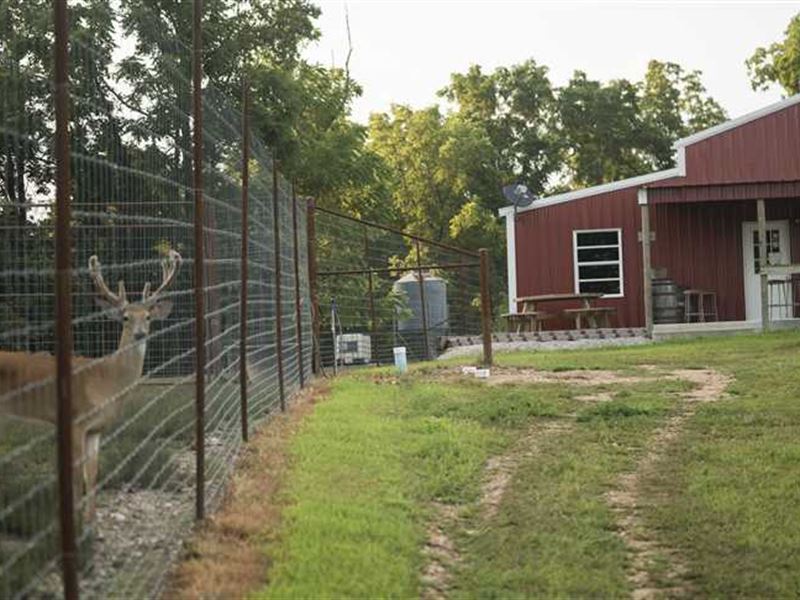 427 Acre Deer Farm with Home And : Mountain View : Shannon County : Missouri