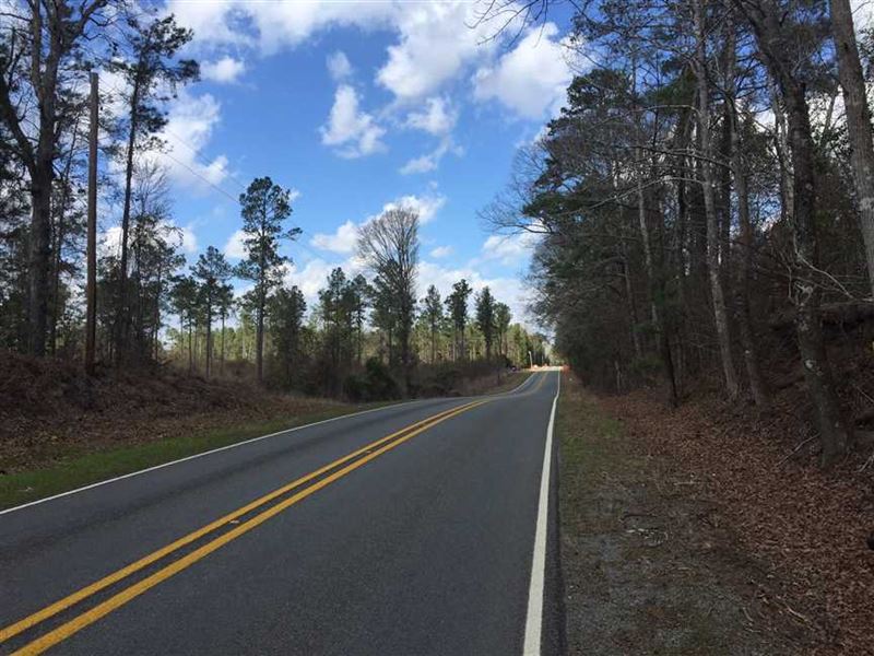 Dorsey Road Tract, Jackson Parish : Ruston : Jackson Parish : Louisiana