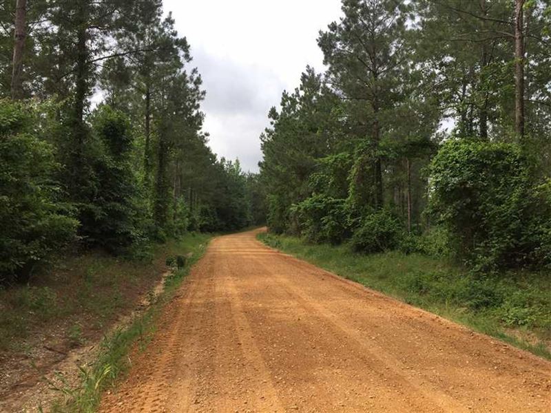 Marion Tract, Union Parish, 60 Acre : Marion : Union Parish : Louisiana