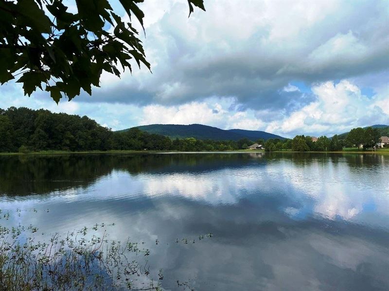 Hampton Cove Lake Tract : Owens Cross Roads : Madison County : Alabama
